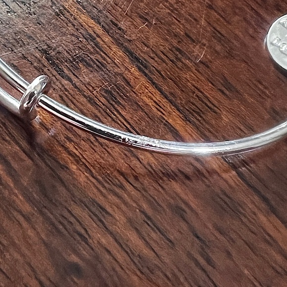 Alex and Ani When in doubt go to the Library - Picture 2 of 4